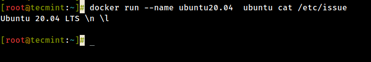 Add Name to Docker Container