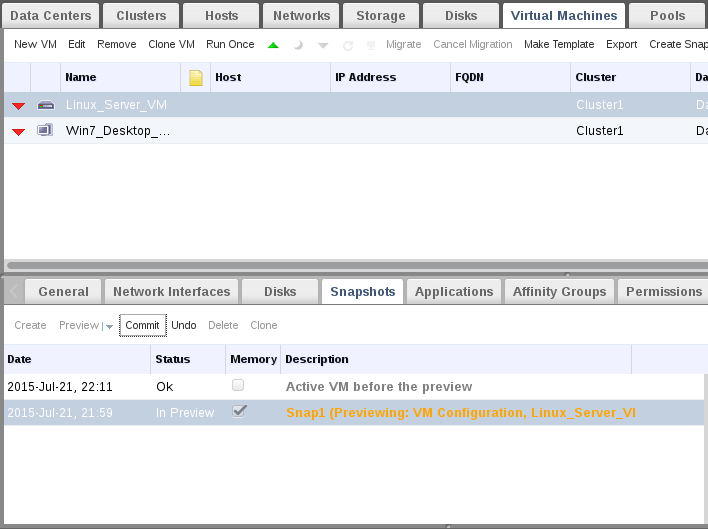 Commit VM Snapshot