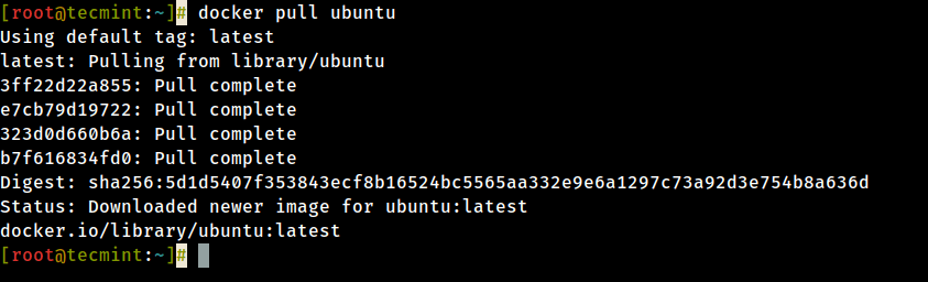  Descargar Docker Ubuntu Image 