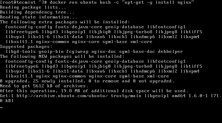 Install Nginx on Ubuntu Docker Container