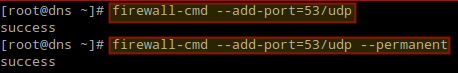 Open DNS Port 53 on Firewall