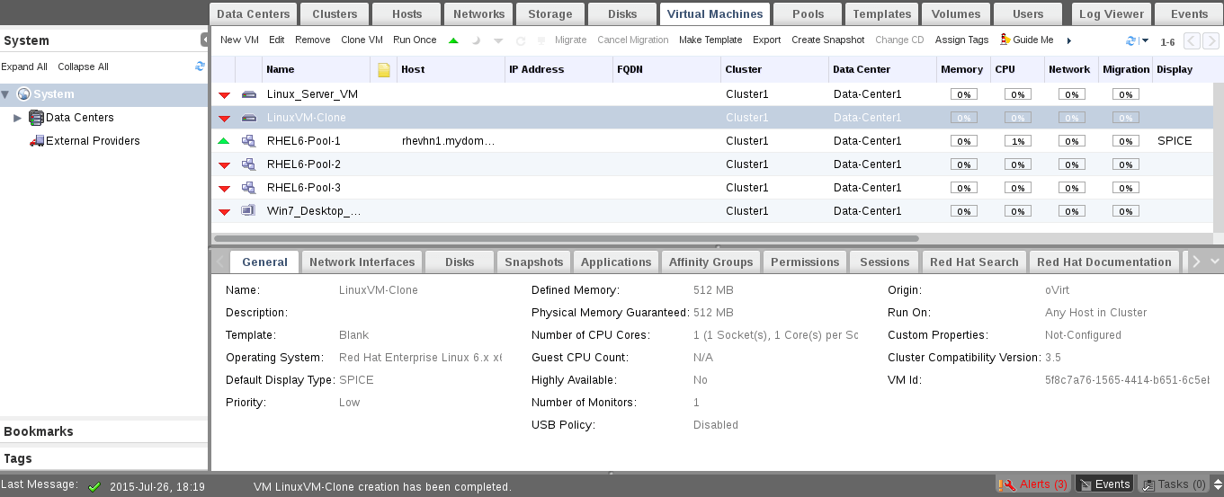 VM Clone Details