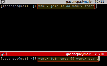 View Two Linux Terminals
