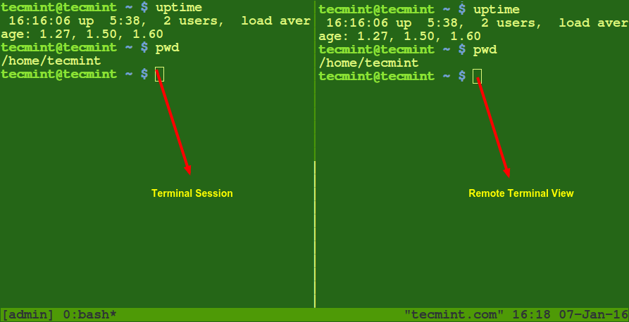 Wemux View Remote Linux Terminal Session