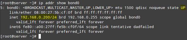 Check Network Bond Interface Status