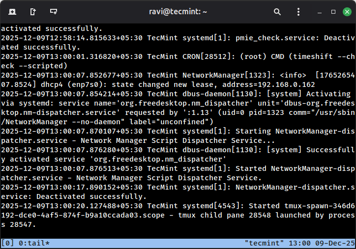 Detach Tmux Session from Terminal