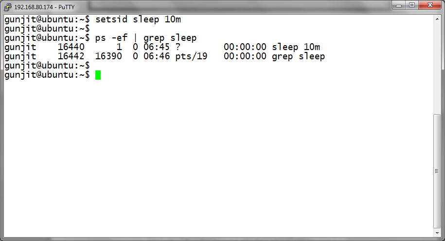 Run Linux Command Using Setsid
