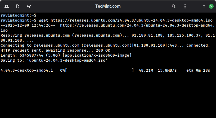 Download Big Files Without Staying Connected to SSH