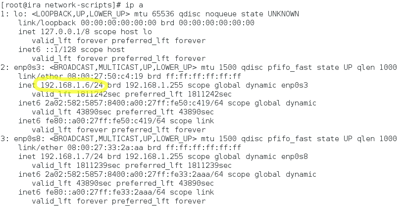 Check Server IP Address