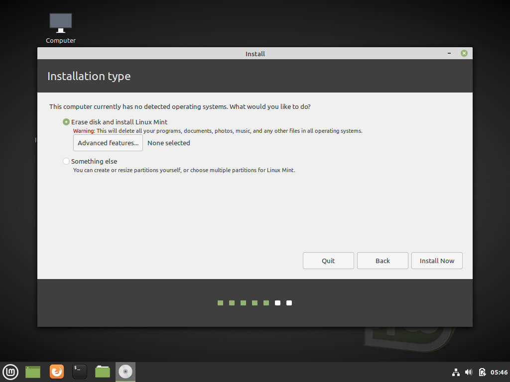 Select Linux Mint Installation Type