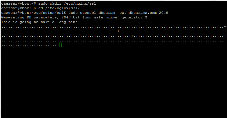 Generate Diffie Hellman Cipher for Nginx