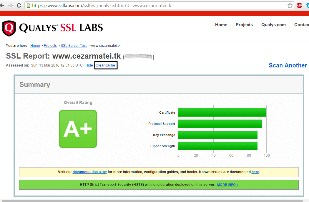 Verify HTTPS SSL Certificate on Domain