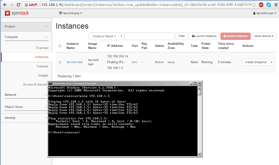 Check Network of Virtual Machine in OpenStack