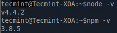 Check Nodejs and NPM Version