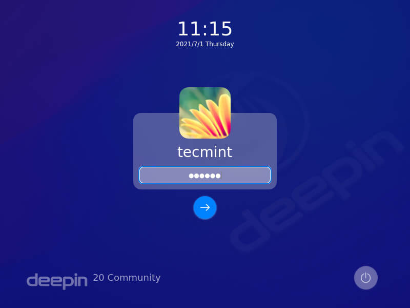 Deepin Login