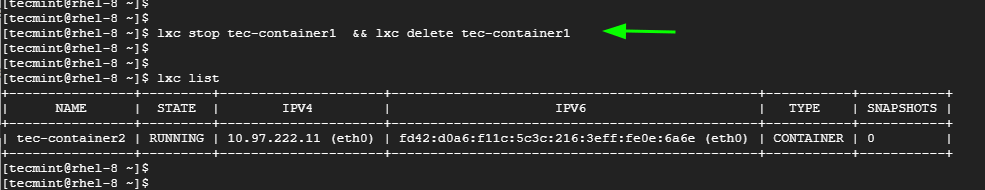 Delete LXC Containers