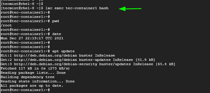 Gain LXC Container Shell Access