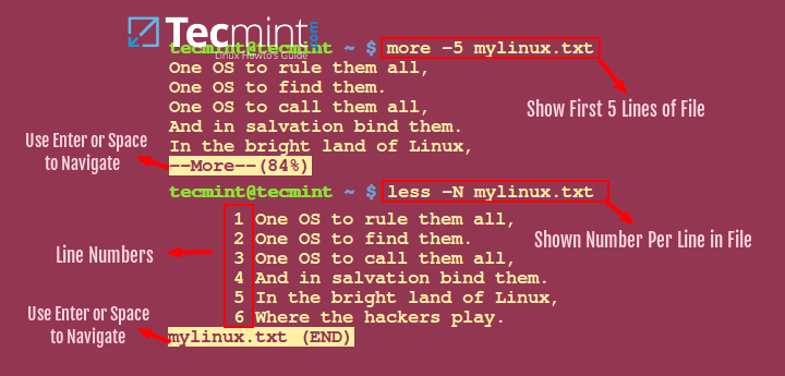 Learn more and less Command in Linux