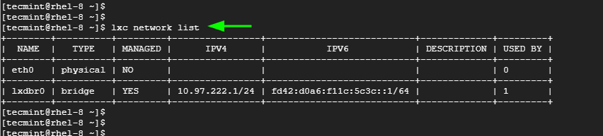 List LXD Network Adapters