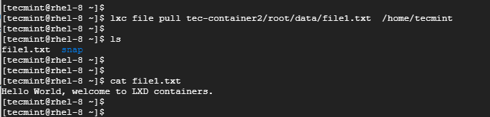 Pull Files to LXC Container