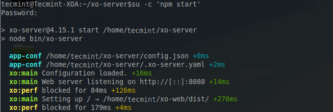 Start NPM Service