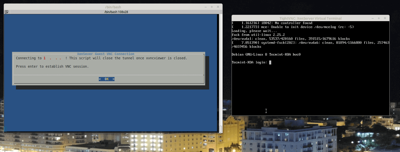 XenServer Host Console Over VNC