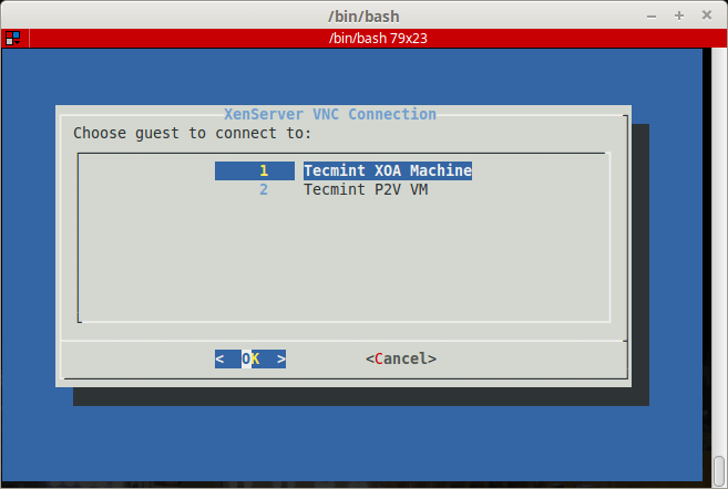 XenServer VNC Connection