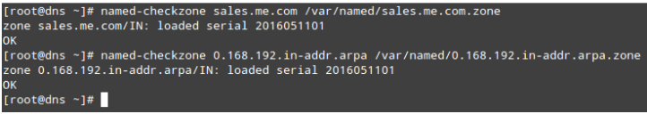 Check DNS Zone File Configuration Errors