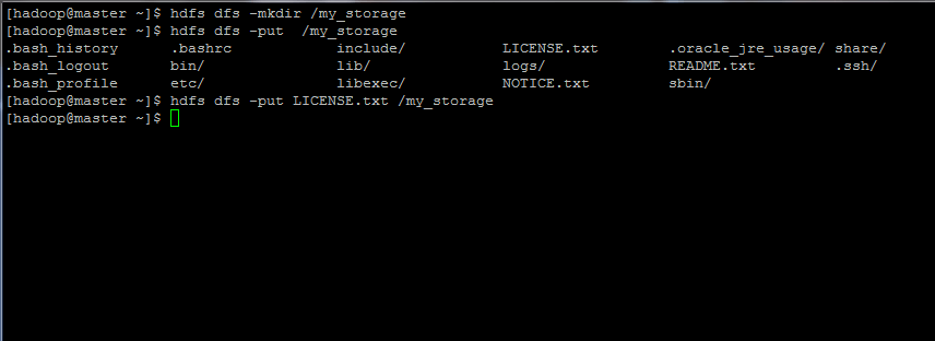 Check Hadoop Filesystem Cluster