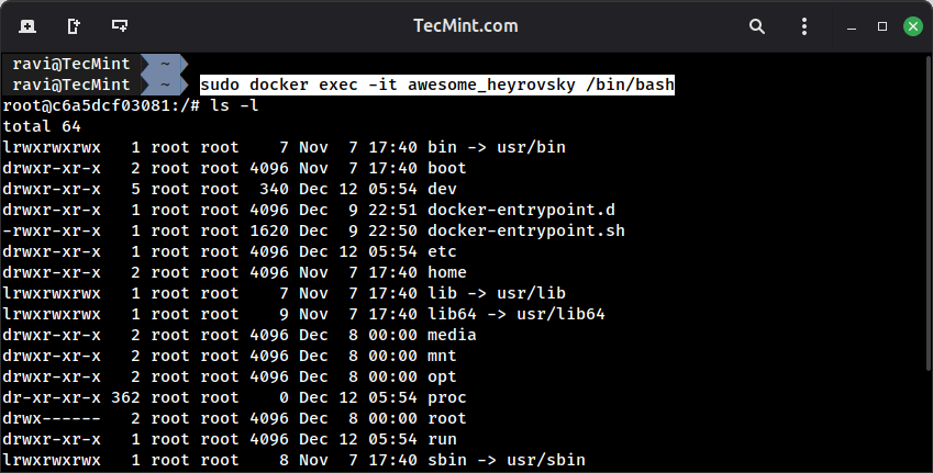 Execute Commands Inside a Running Docker Container