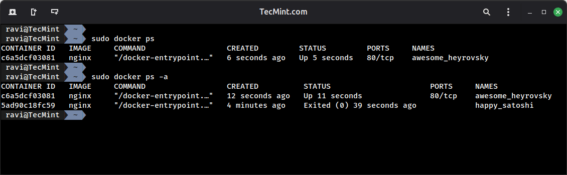 List Running Docker Containers