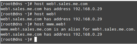 Query DNS on Domain Host
