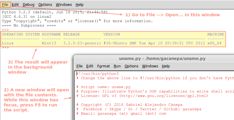 Run Python Script