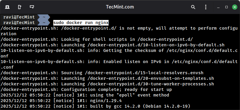 Run a Docker Container from an Image