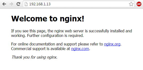 Verify Nginx Webpage