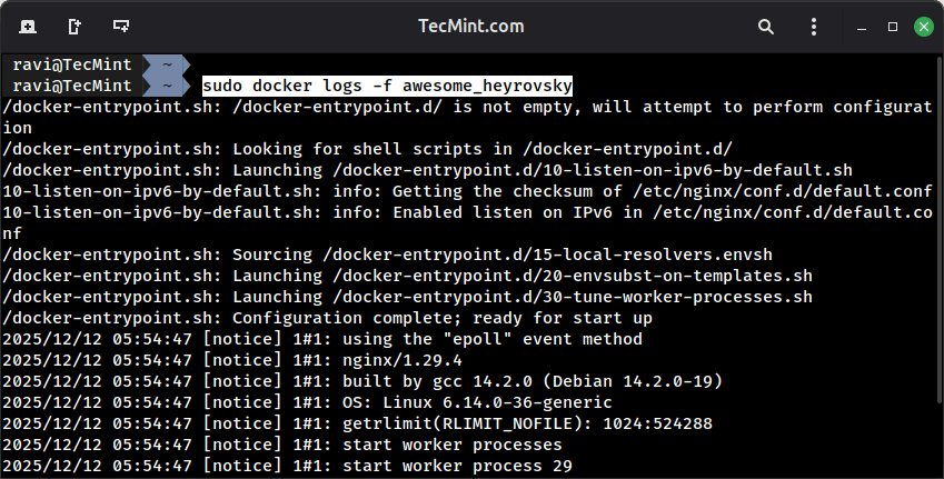 Viewing Docker Container Logs
