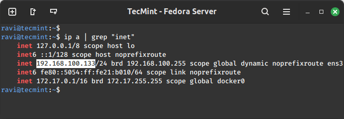 Check Fedora Server IP