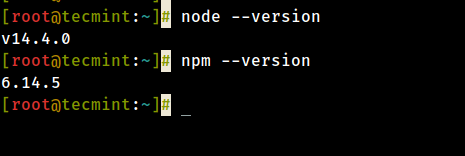 Check NodeJS Version in CentOS