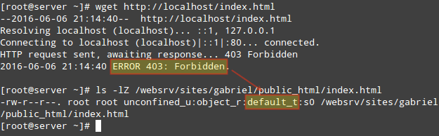 Labeled as default_t SELinux Type