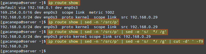 Combine sed with Other Commands