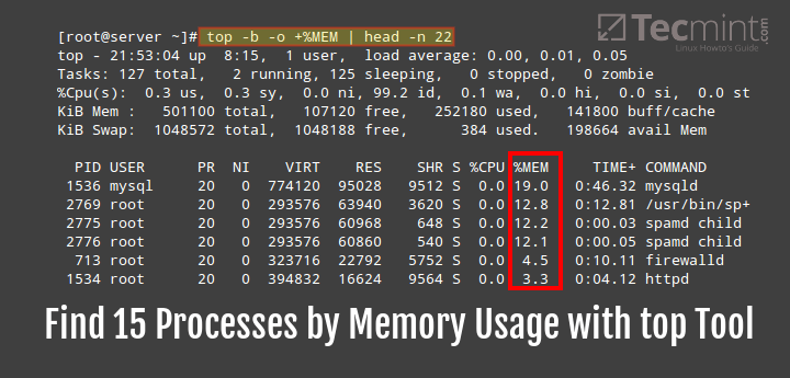 metallisk nødvendig Personlig Find Top 15 Processes by Memory Usage with 'top' in Batch Mode