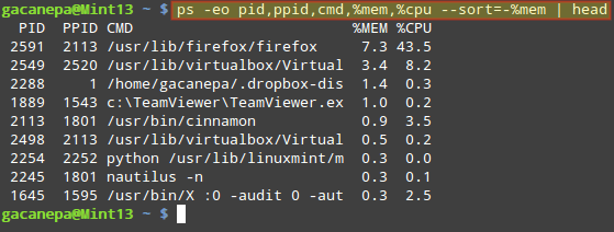 Foster Fancy nyt år Find Top Running Processes by Highest Memory and CPU Usage in Linux