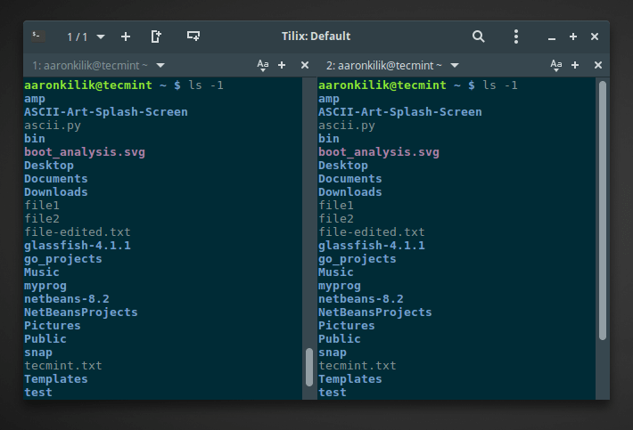 Tilix with Two Vertical Linux Terminal Windows