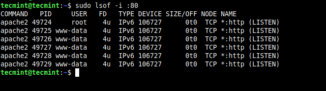 Check Apache Running Status