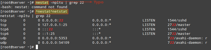 Correct Command Typos or Mistakes with Carat (^) Symbol