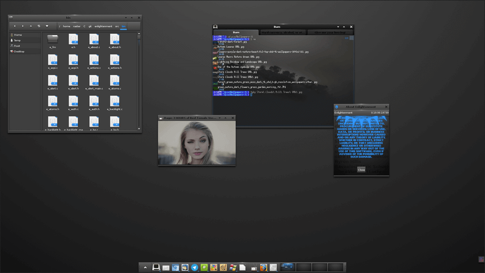  Enlightenment Desktop