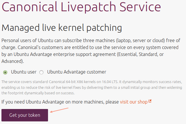 Canonical Livepatch Service