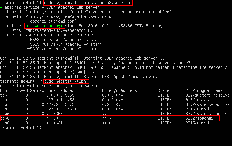 Check Apache Status and Port