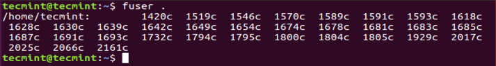 Find Running Processes of Directory