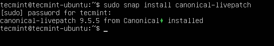 Install Canonical Livepatch in Ubuntu